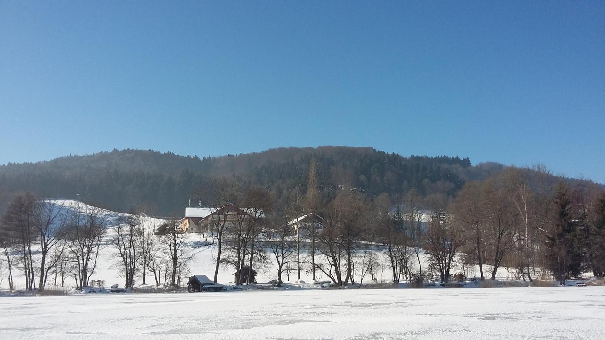 Serner Am See Zell am Moos Exterior foto