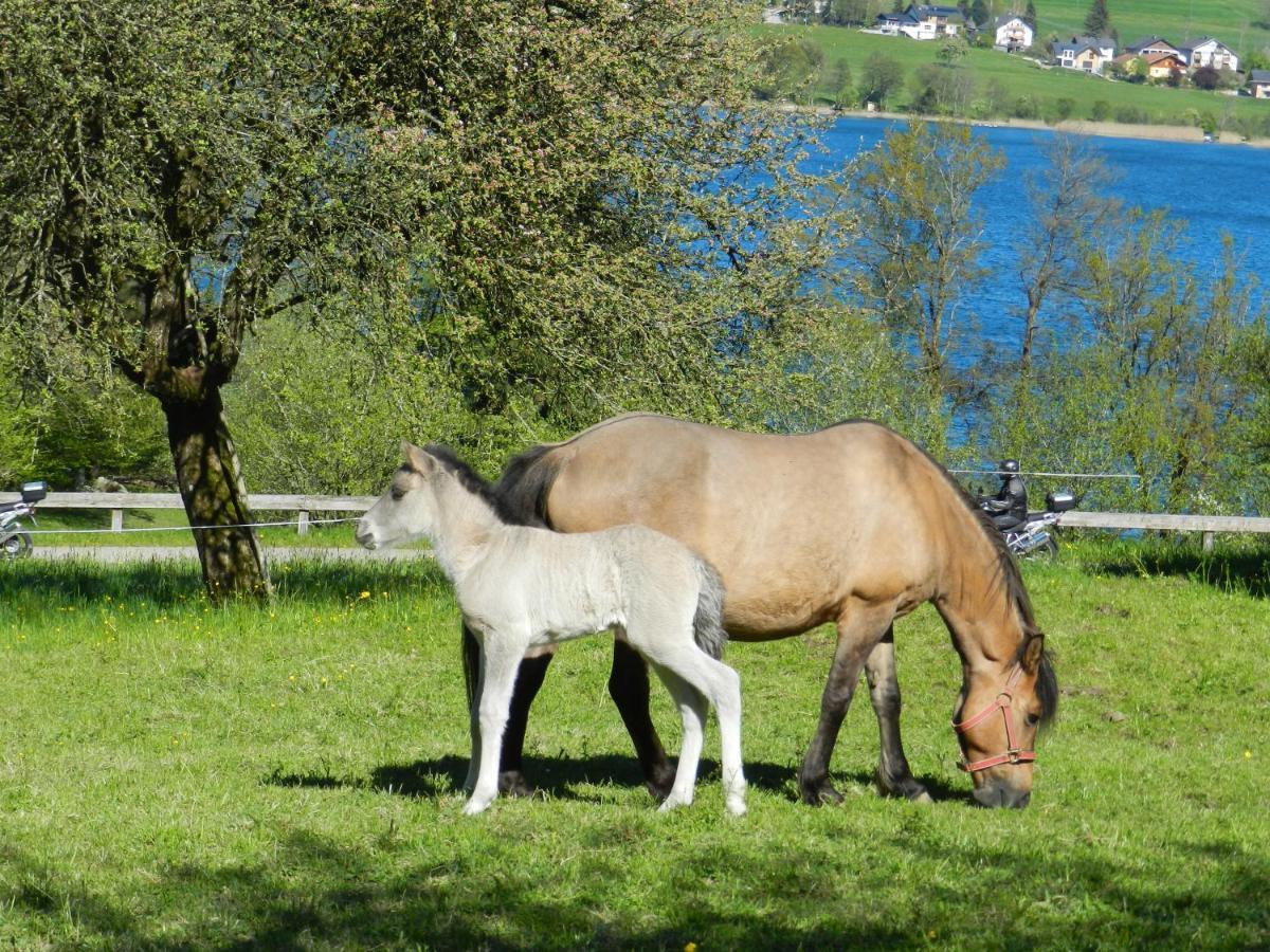 Serner Am See Zell am Moos Exterior foto