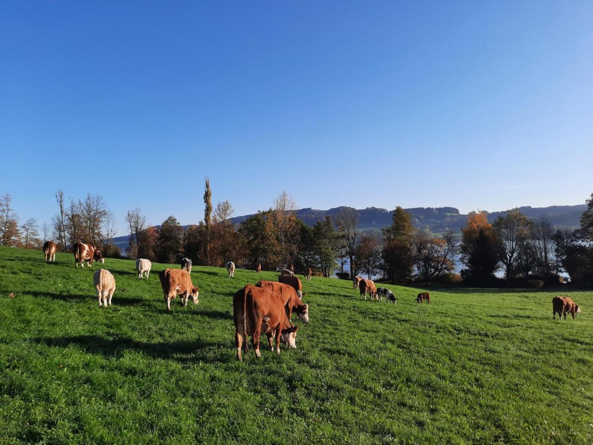 Serner Am See Zell am Moos Exterior foto