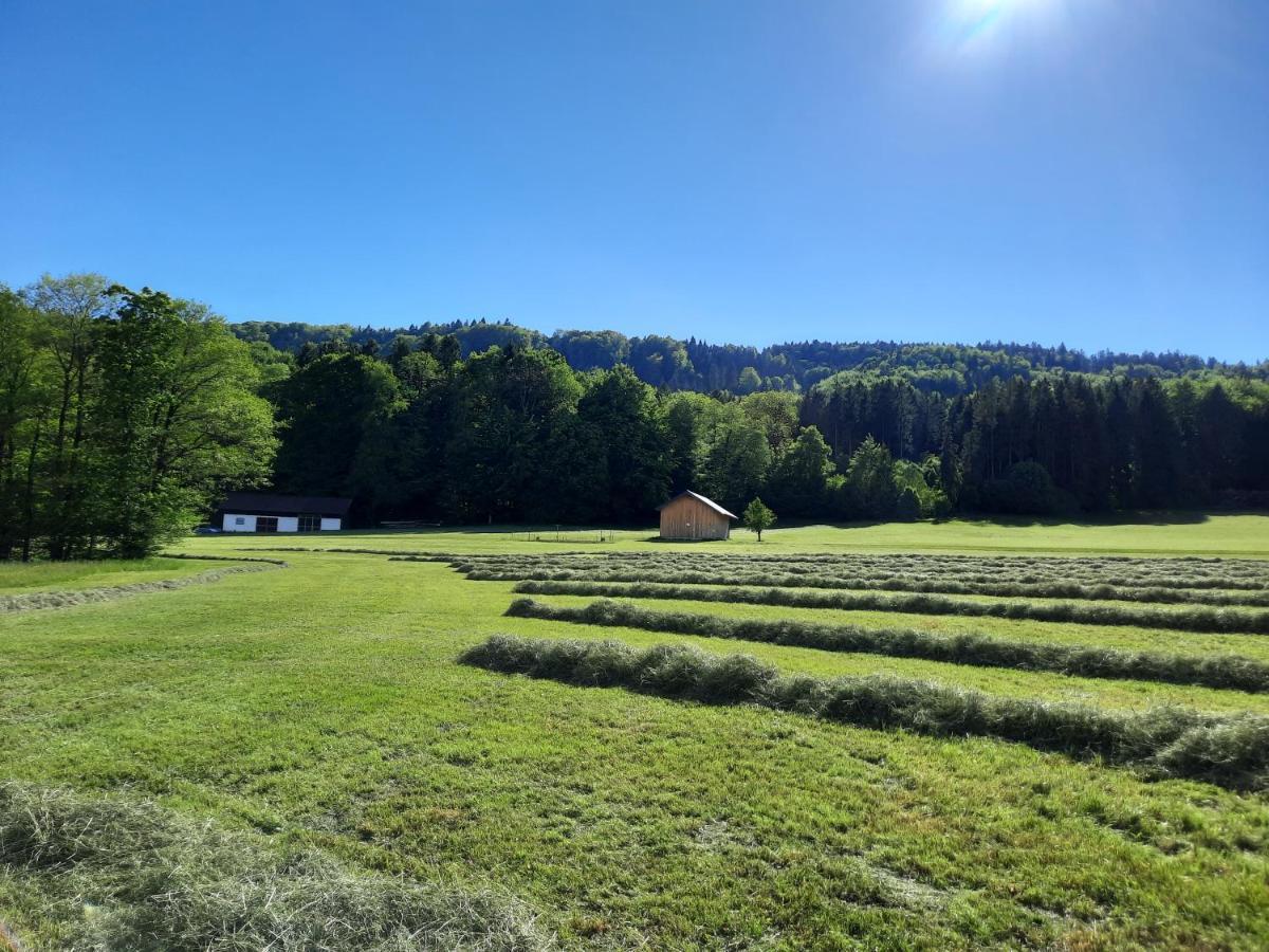 Serner Am See Zell am Moos Exterior foto