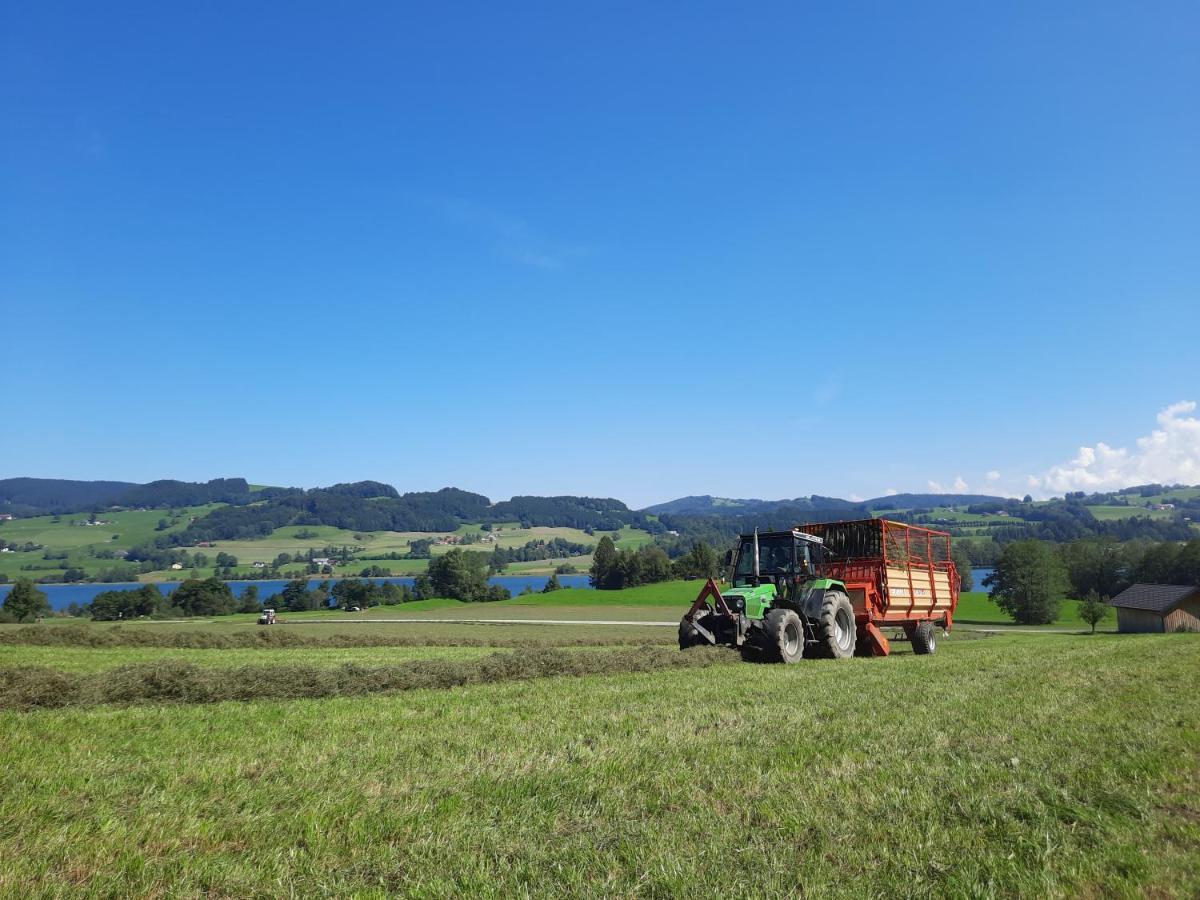 Serner Am See Zell am Moos Exterior foto